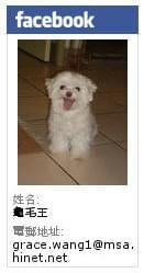 阿嬤的珍藏：【宅配】『阿嬤的珍藏』--Mini Tart芒果塔＋生巧克力塔--舌尖上的小幸福！