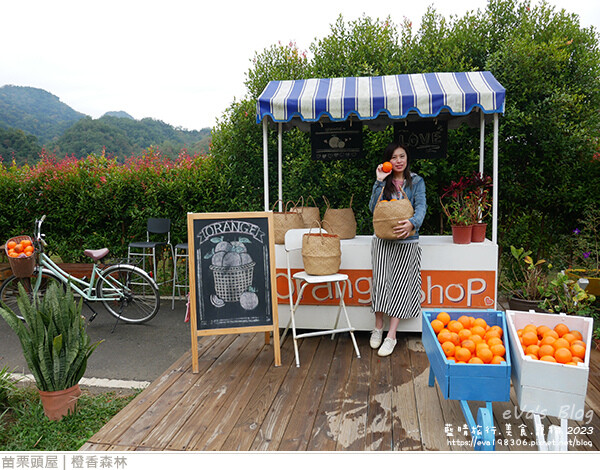 橙香森林-20.jpg