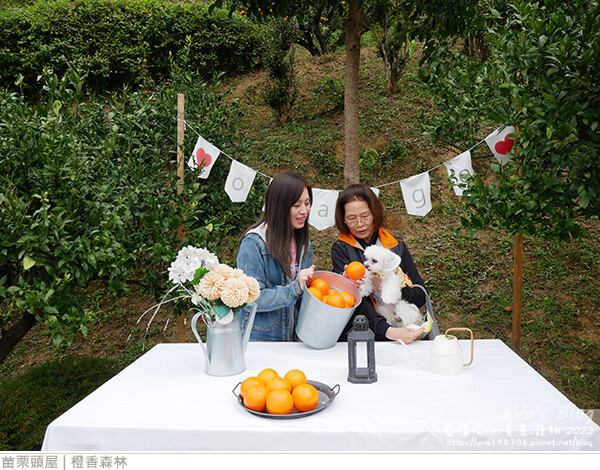 橙香森林-27.jpg