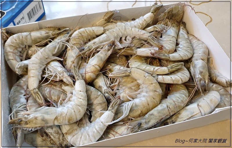 元家藍鑽蝦 07.jpg