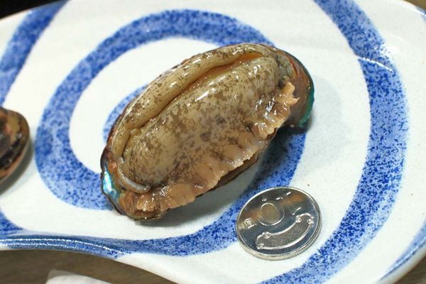 【新竹美食】Umi火鍋水產直賣所-活體龍蝦、鮑魚、貝類海鮮，新鮮海產美味讓你吃的到