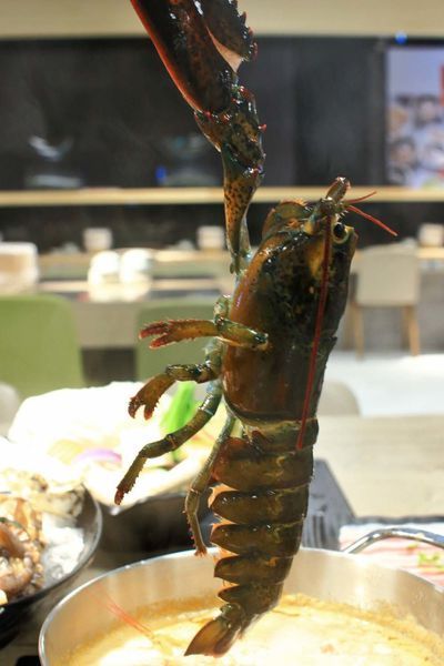 【新竹美食】Umi火鍋水產直賣所-活體龍蝦、鮑魚、貝類海鮮，新鮮海產美味讓你吃的到