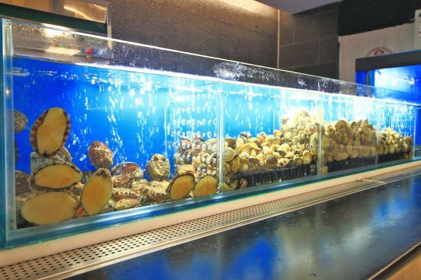 【新竹美食】Umi火鍋水產直賣所-活體龍蝦、鮑魚、貝類海鮮，新鮮海產美味讓你吃的到