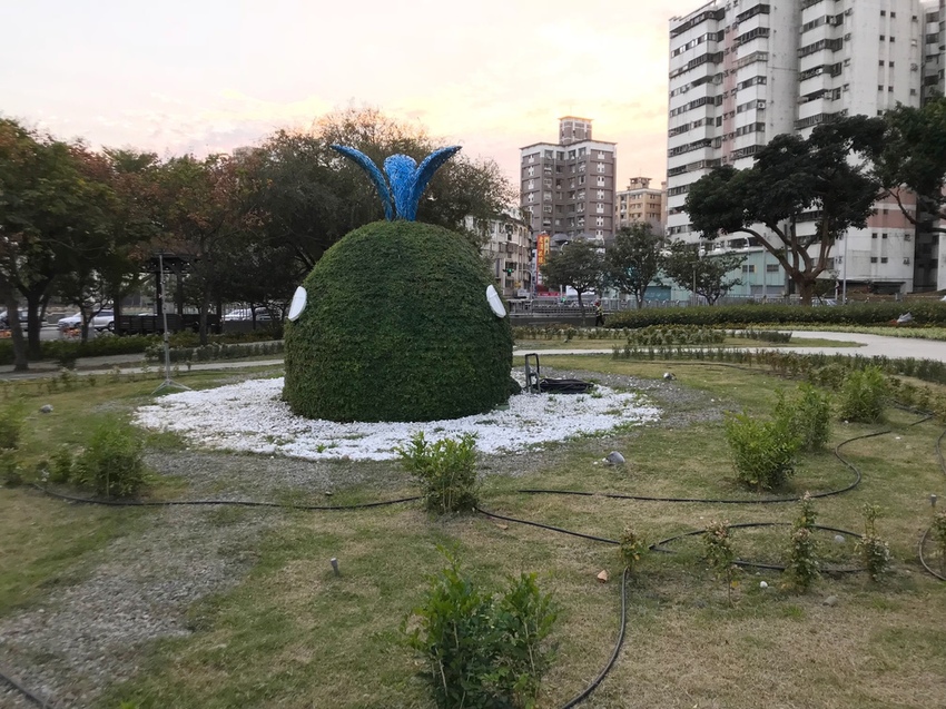 康橋河濱 紫色狼尾草