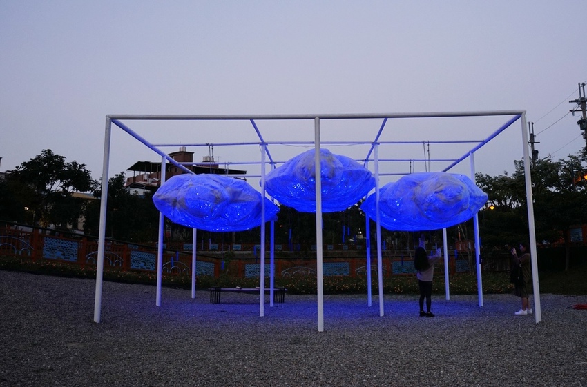 康橋河濱 紫色狼尾草