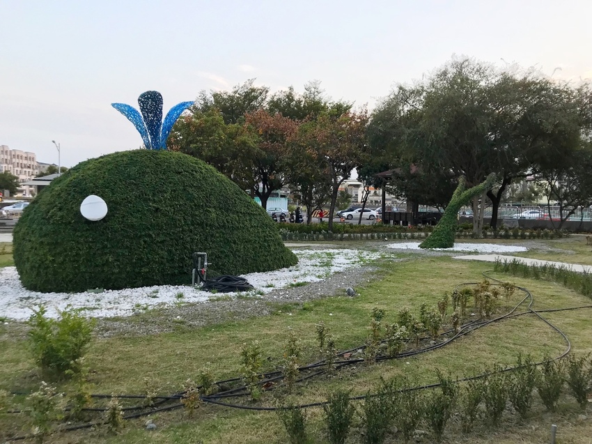 康橋河濱 紫色狼尾草