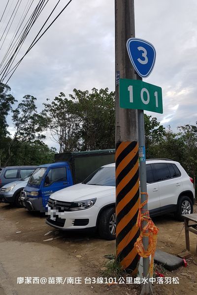 【苗栗/南庄】蘇維拉莊園餐廳附屬落羽松景點
