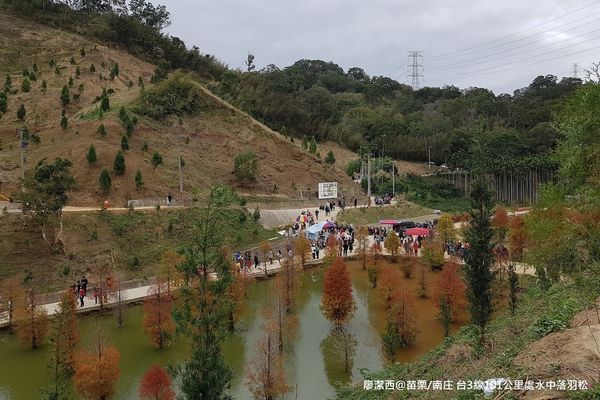 【苗栗/南庄】蘇維拉莊園餐廳附屬落羽松景點