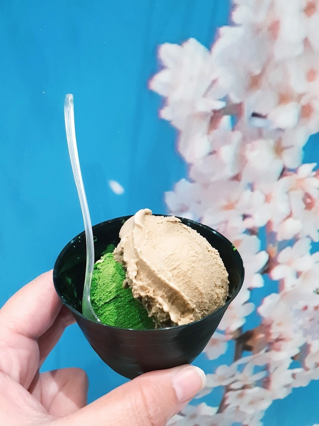 2019-01-12 10.34.49 2