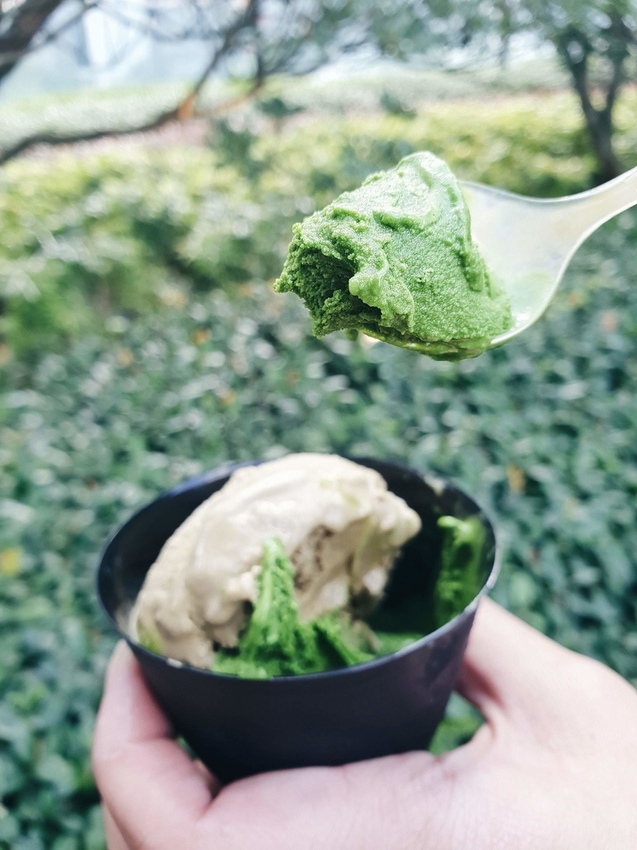 2019-01-12 10.34.50 1