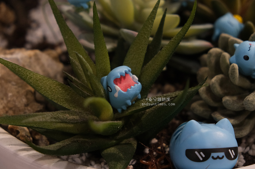 【台中】二訪咖波屋｜貓貓蟲的大本營，日式老屋打造咖波物販店！ - 桑分鐘熱度