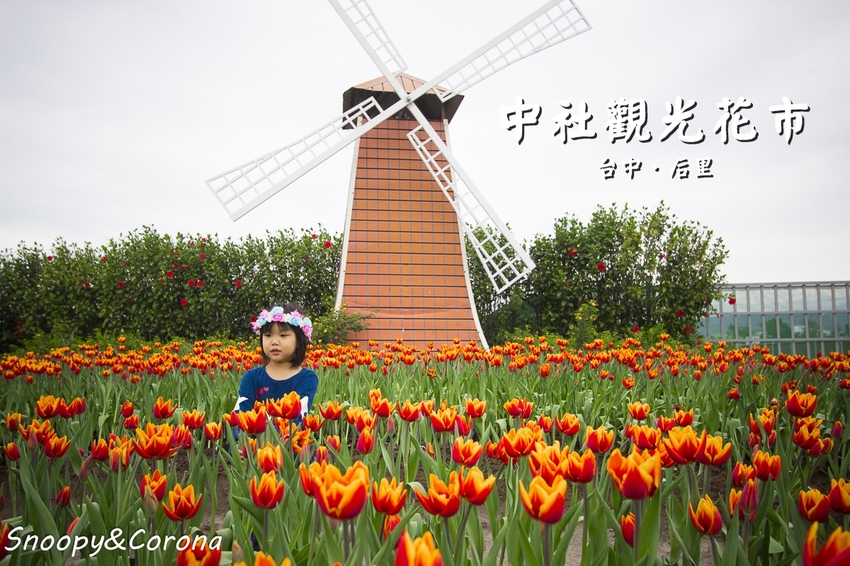 【台中景點】台中拍照打卡新景點／貓貓蟲咖波屋～日式老宅咖啡館免費好拍