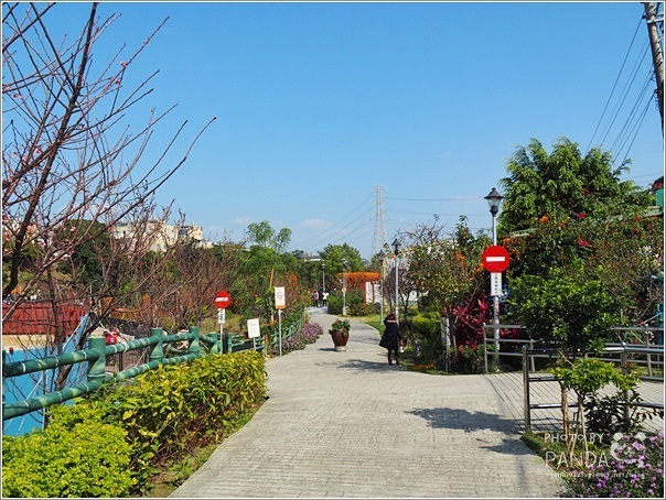 鶯歌永吉公園 (22)