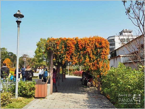 鶯歌永吉公園 (25)