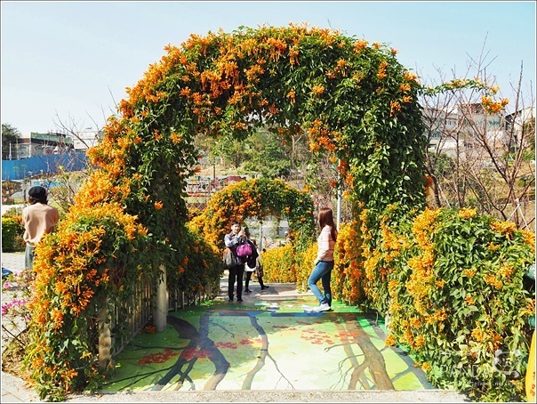 鶯歌永吉公園 (34)