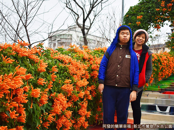 永吉公園14-兩側花牆已盛開.JPG