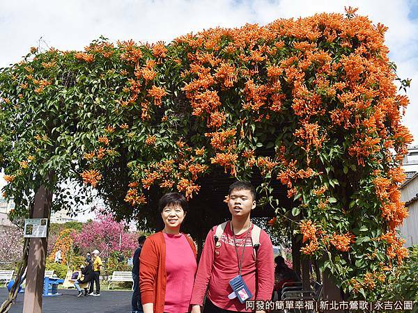 永吉公園05-炮仗花棚留影.JPG