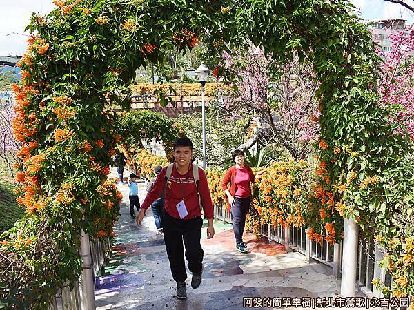 永吉公園09-炮仗花拱門空橋上方往下.JPG