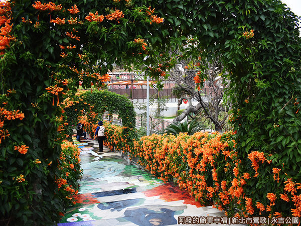 永吉公園12-夢幻的炮仗花拱門階梯.JPG