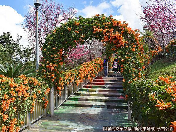 永吉公園07-炮仗花拱門空橋.JPG