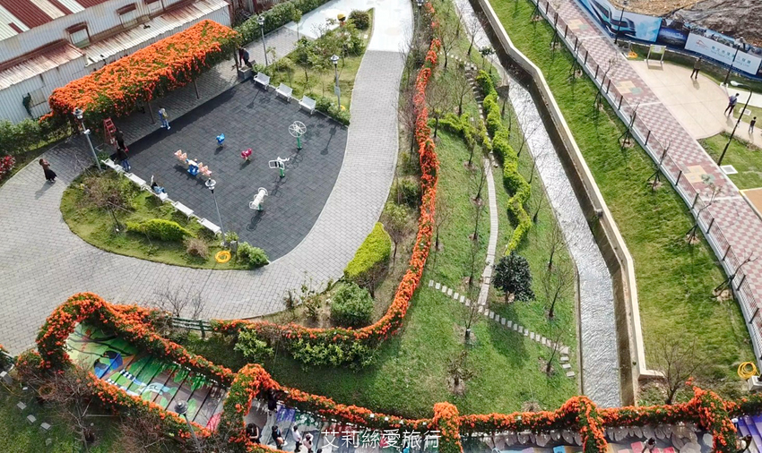 鶯歌景點》鶯歌永吉公園 親子同樂 新春賞炮仗花 玩溜滑梯 超好拍立體彩繪 - 艾莉絲愛旅行