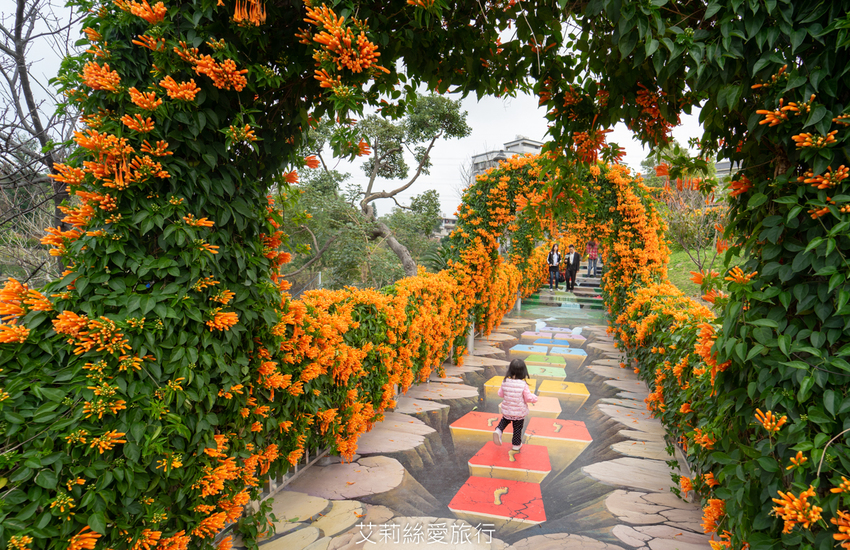 鶯歌景點》鶯歌永吉公園 親子同樂 新春賞炮仗花 玩溜滑梯 超好拍立體彩繪 - 艾莉絲愛旅行