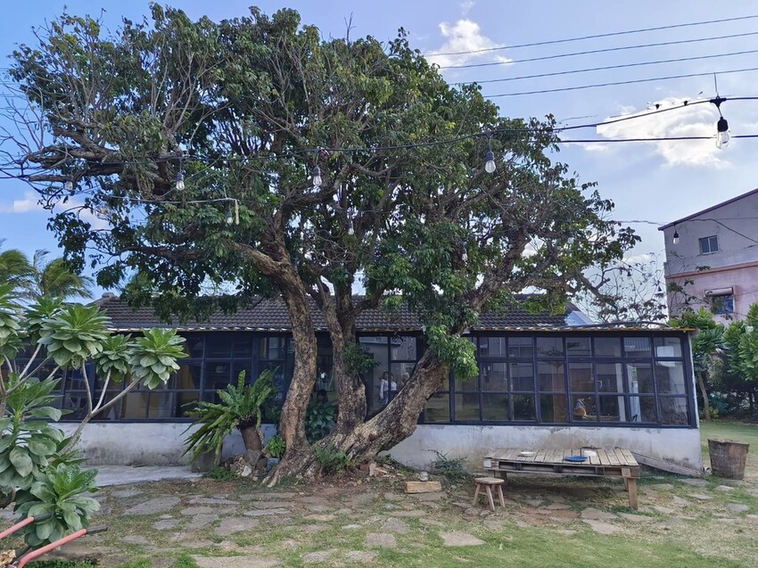 13254.jpg - 【屏東.恆春】網美古宅咖啡廳。肥春號咖啡廳+蜜糖吐司+牛肉捲+擂茶拿鐵+寵物超友善