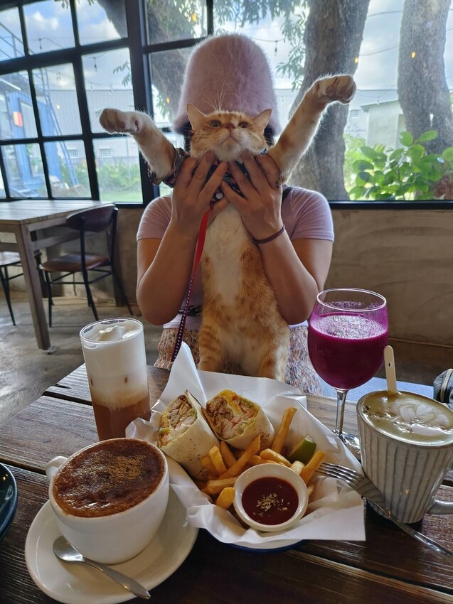 13238.jpg - 【屏東.恆春】網美古宅咖啡廳。肥春號咖啡廳+蜜糖吐司+牛肉捲+擂茶拿鐵+寵物超友善