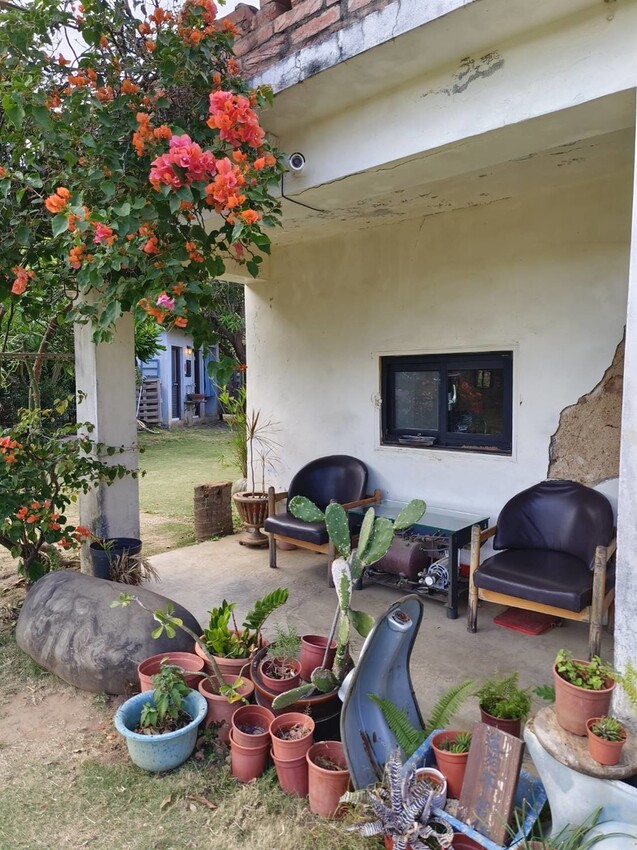 13247.jpg - 【屏東.恆春】網美古宅咖啡廳。肥春號咖啡廳+蜜糖吐司+牛肉捲+擂茶拿鐵+寵物超友善