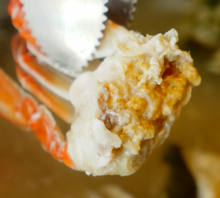 【桃園美食】上善若水海鮮鍋物.澎湃海料平價上桌!