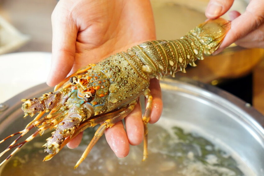 【桃園美食】上善若水海鮮鍋物.澎湃海料平價上桌!