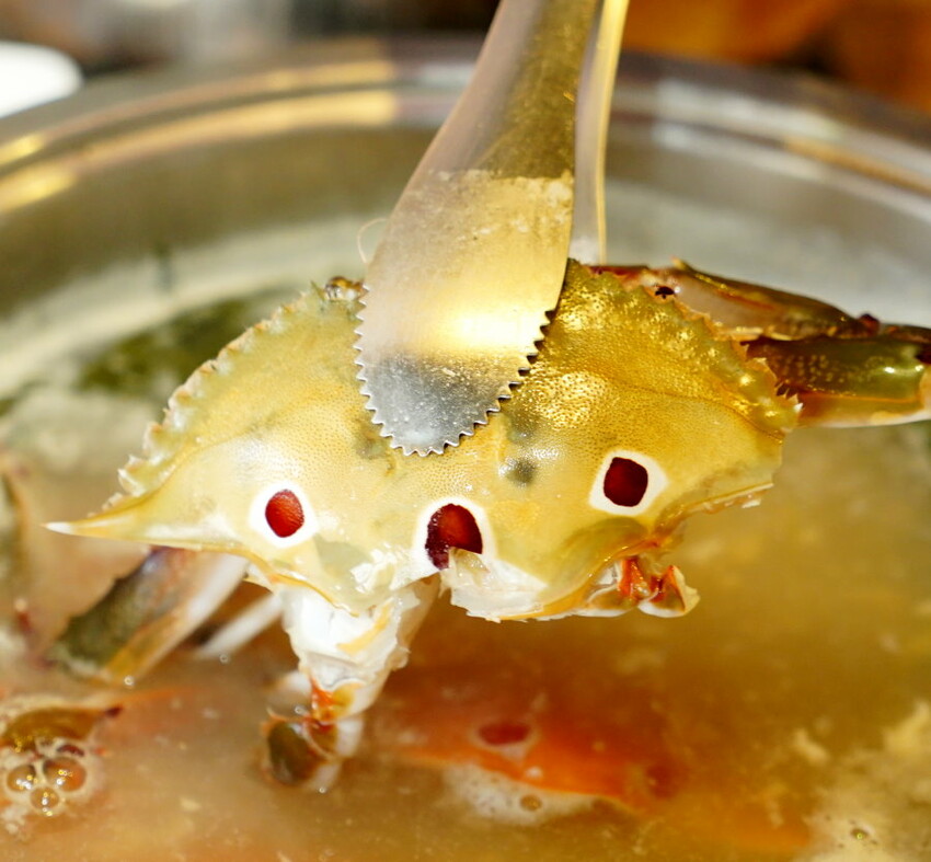 【桃園美食】上善若水海鮮鍋物.澎湃海料平價上桌!