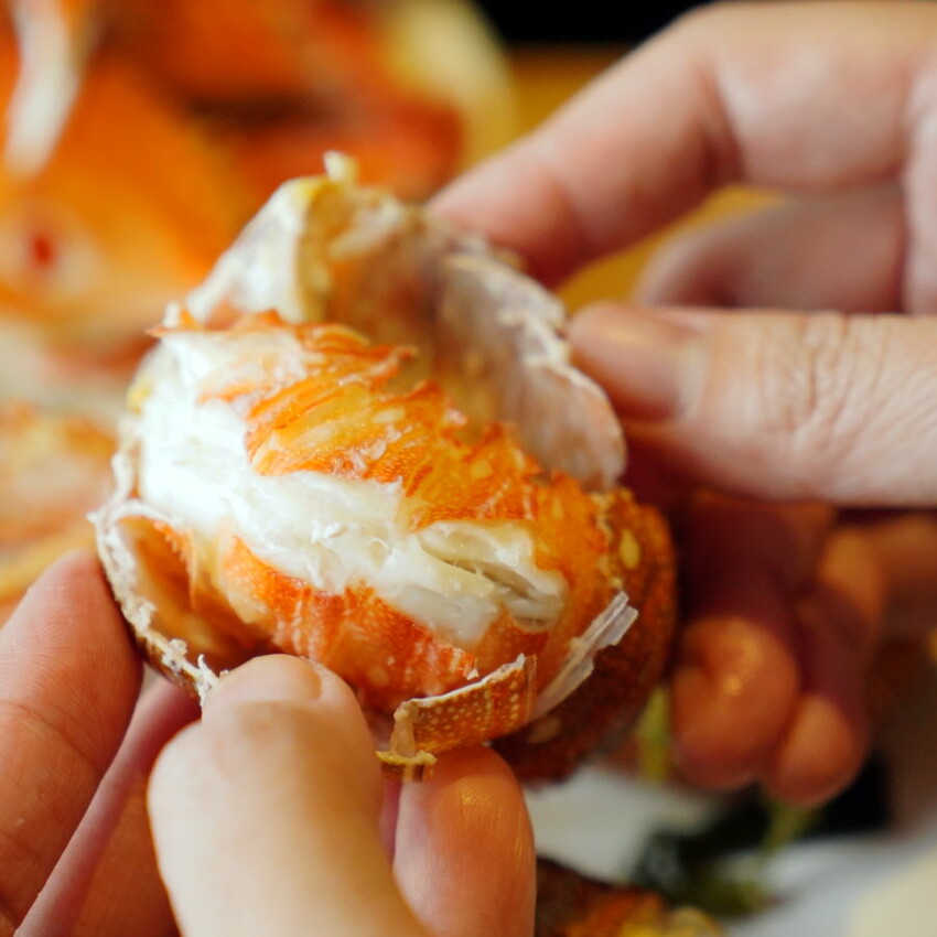 【桃園美食】上善若水海鮮鍋物.澎湃海料平價上桌!