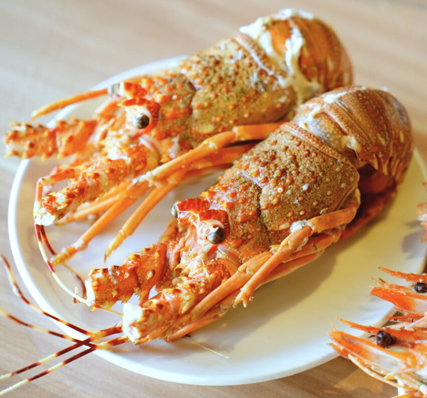 【桃園美食】上善若水海鮮鍋物.澎湃海料平價上桌!