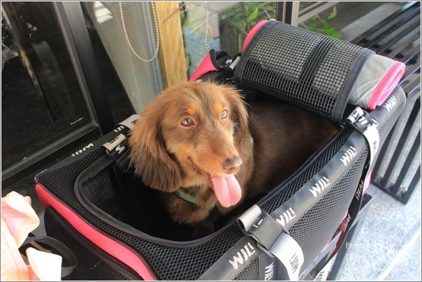 上善若水海鮮鍋物 (61) 上善若水海鮮鍋物 (61)