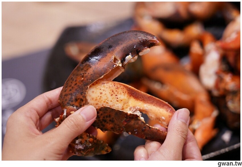 全新屠龍mini啟動！活龍蝦不夠看，居然還有台中最新伴手禮！