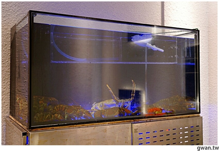 全新屠龍mini啟動！活龍蝦不夠看，居然還有台中最新伴手禮！