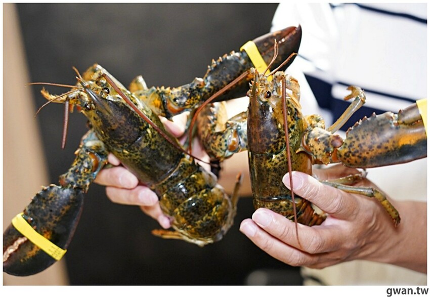 比必勝客更有梗！台中火鍋店居然推出冰塊火鍋，你阿爸在後面有點火ＸＤ