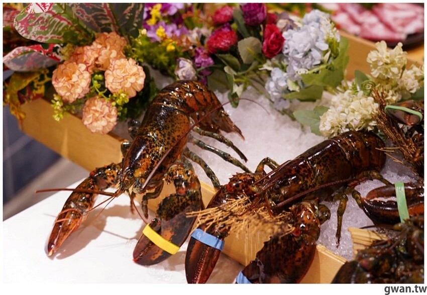 全新屠龍mini啟動！活龍蝦不夠看，居然還有台中最新伴手禮！