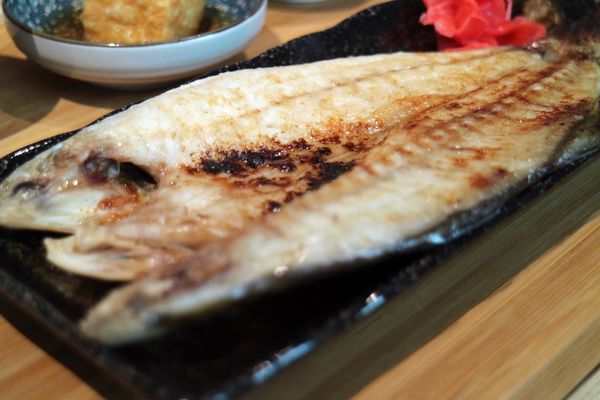 IMG_6292.JPG IMG_6292.JPG