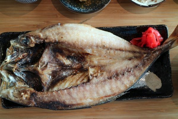 IMG_6316.JPG IMG_6316.JPG