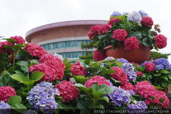 DSC02639.JPG DSC02639.JPG