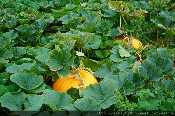 DSC02649.JPG DSC02649.JPG