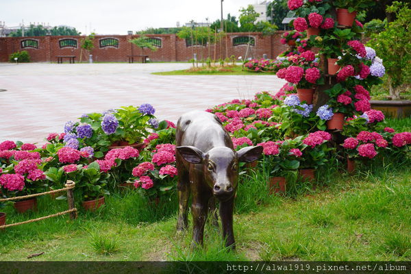 DSC02645.JPG DSC02645.JPG