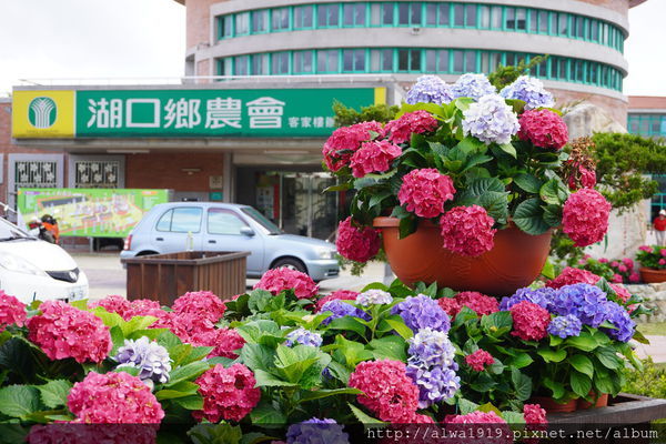 DSC02638.JPG DSC02638.JPG