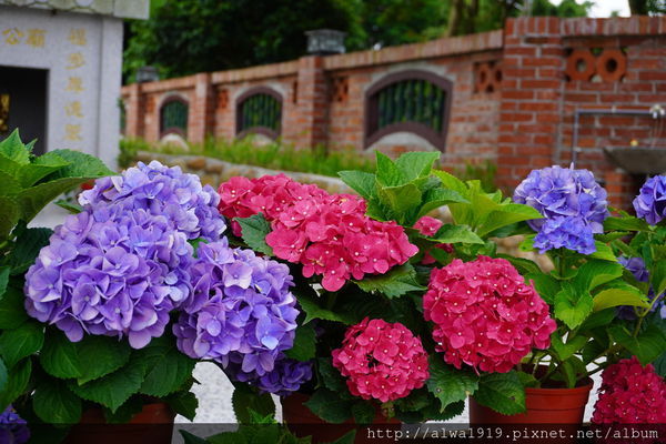 DSC02642.JPG DSC02642.JPG