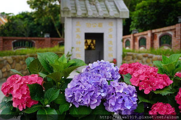 DSC02643.JPG DSC02643.JPG