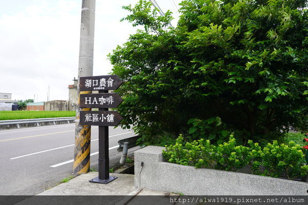 DSC02647.JPG DSC02647.JPG