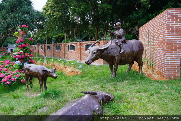 DSC02644.JPG DSC02644.JPG