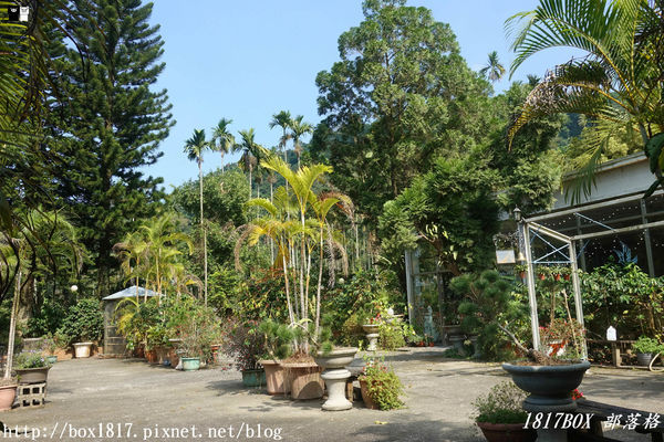 【雲林。古坑】夏卡爾咖啡。咖啡。火鍋。簡餐。華山小天梯附近咖啡館